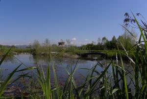 Vodomčev gaj. Foto J. Rus